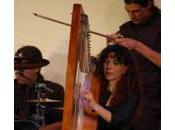 Arpa celtica