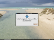 Installare cairo-compmgr posto xcompmgr UbuBox "SalentOS" 11.04