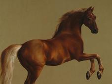 Whistlejacket, George Stubbs