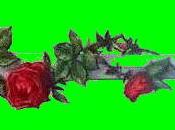 &amp;nbsp; ESCE LIBRERIA