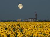 Tutto quello fatto amore, merita d’essere