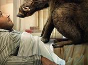 cinghiale social.
