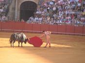 Dalla parte toro