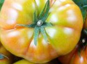 L’alternativa alla caprese…