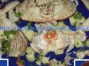 Granciporro insalata
