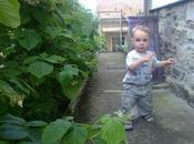 VAGABONDARE, GIRONZOLARE ovvero RUBRICA GIORNO DOPO.