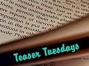 Teaser Tuesdays (28)