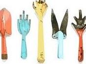 vuoi partecipare programma?_GIARDINIERI AFFITTO