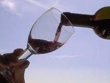 Cinque ottimi vini sotto dieci euro