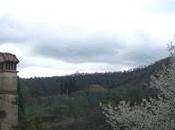 Acris fundo... proprio fundo)