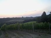 Quante cose portare viaggio insieme...