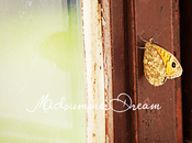Midsummer's dream