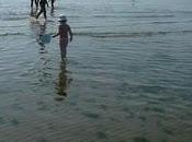 mare.....