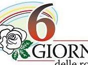Giorni delle Rose: trionfano Guarnieri-Viviani (Pulinet)