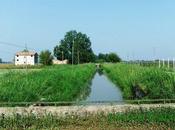 l'estate dell'89
