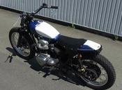 Kawasaki W650 Flat Track