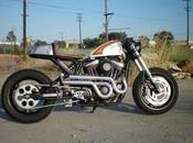 Harley Davidson Cafè Racer Mulato Brawny Built