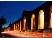 Amando bologna, anche nelle notti d'estate