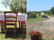 Bio-grafia storia. contest.