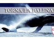 volte ritornano?