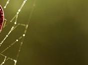 genitori divorziano loro figli