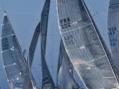 Audi sailng series melges warm torpyone