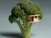 ARCHITECTURAL FOOD broccoli Brock Davis