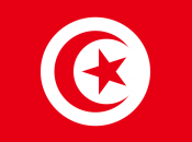 Tunisia, caldi venti rivolta