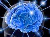 Internet cambia nostro modo ricordare