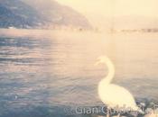 Lago D’Iseo