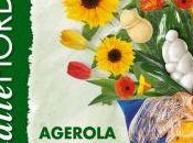 Agerola Sagra “Fiordilatte Fiordifesta”