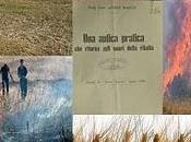 stoppie Salento leccese devono essere bruciate oppure meglio interrarle?