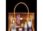 Nella borsa: