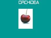 ragazzo orchidea" Paola Presciuttini. Presentazione libro mercoledì luglio Empoli