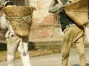 Quando ONLUS s’incazzano