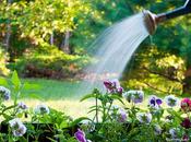 consigli ottimizzare consumo acqua giardino, nell’orto balcone
