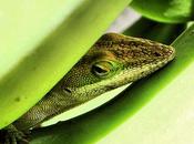 relativismo assoluto! parte