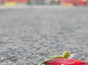 Alghero: violenze branco racket. comunità minori, indagati almeno altri