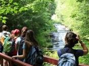 Abbecedario verde: salvare terra partendo dalla scuola