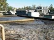 Terrasini, depuratore comunale. L’opposizione: soluzione monte”