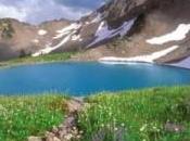 modo attivisti delle logge vengono deviati verso nulla?