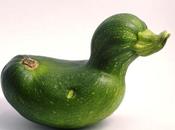 Food blog giorno: cucina Phoebe!!!