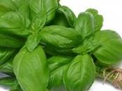 Amore, Basilico voglia d'estate