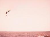 LOMOGRAPHY mare Ferrania EURA Fuji ASTIA 100F