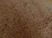 L’effetto dell’anello caffèBy Alessandra CovachPublish...