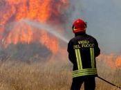 Terrasini: vasto incendio contrada Zucco-Paterna