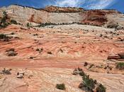 Zion/Bottom