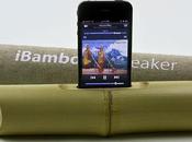 iBamboo speaker