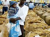 contraddizioni certo "sviluppo"/La mano riceve salario