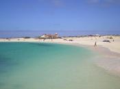 Canarie Dreaming…